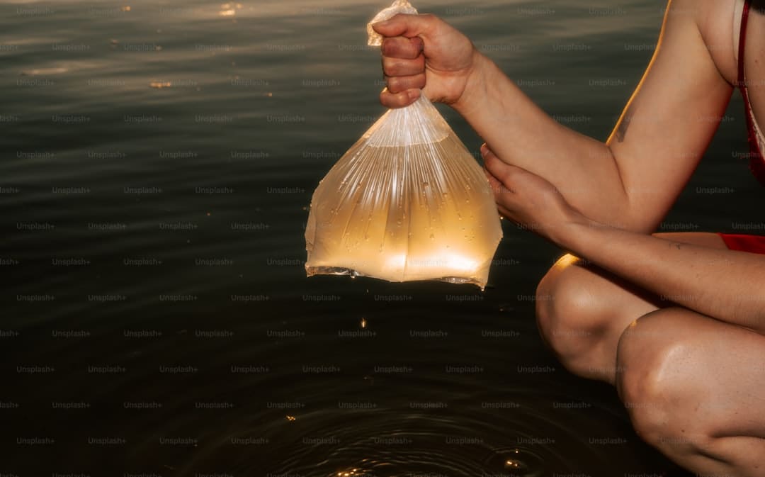 在自在与自律之间，校准大学韶光的节奏